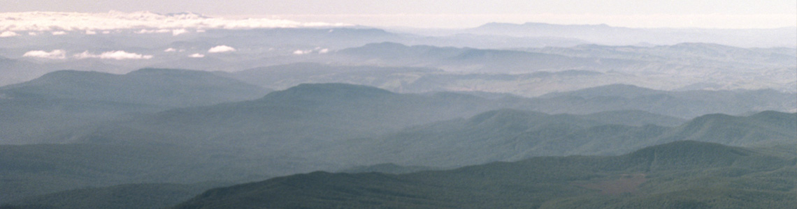 Mist settles over the ranges of Te Urewera