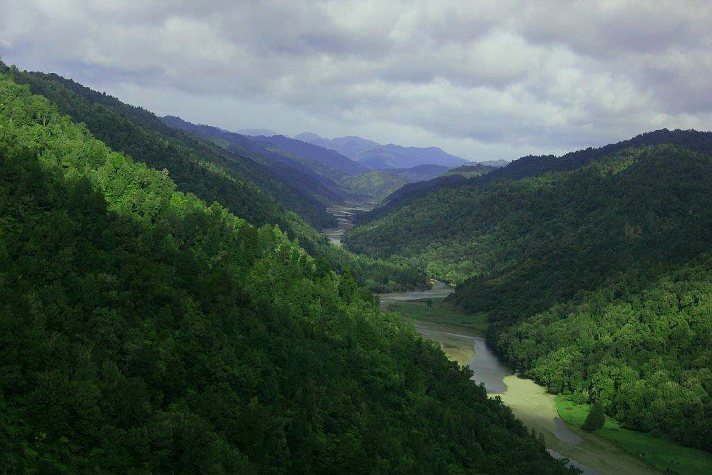 A river winding through the forested valleys of Te Urewera