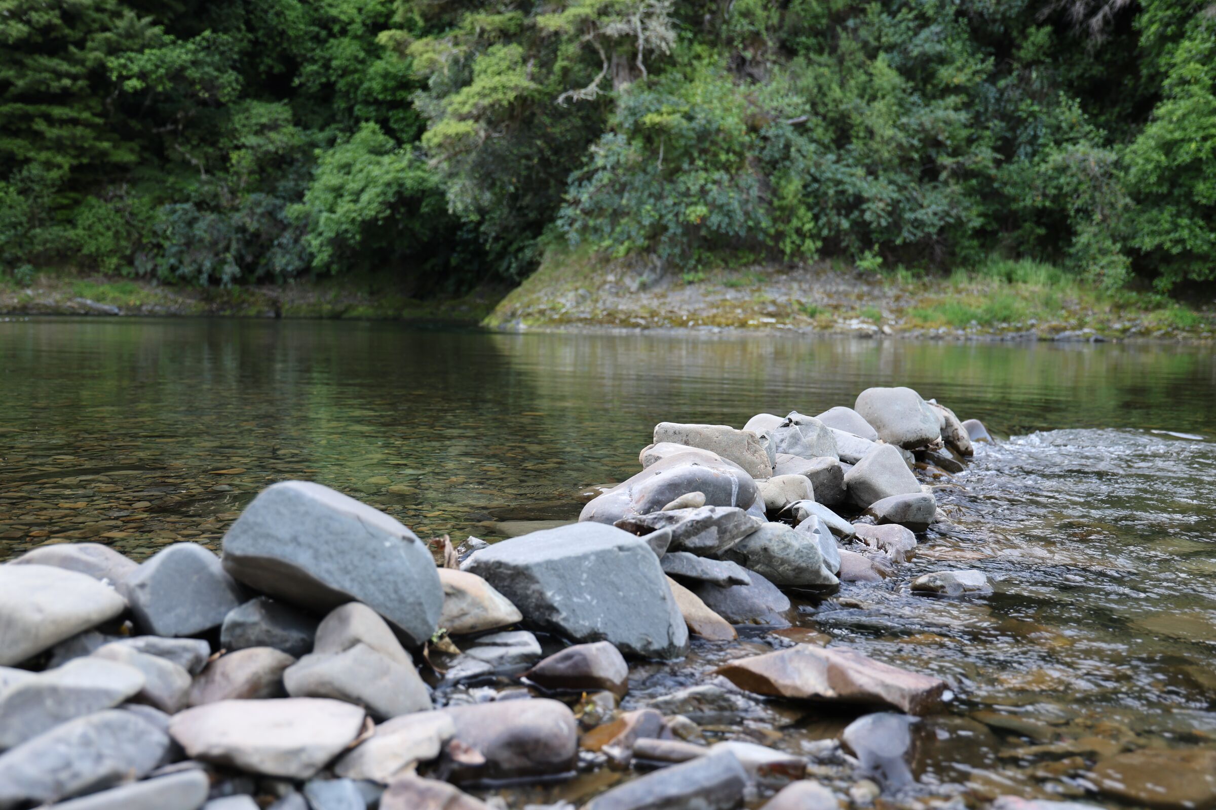 River stones and clear water in Te Urewera