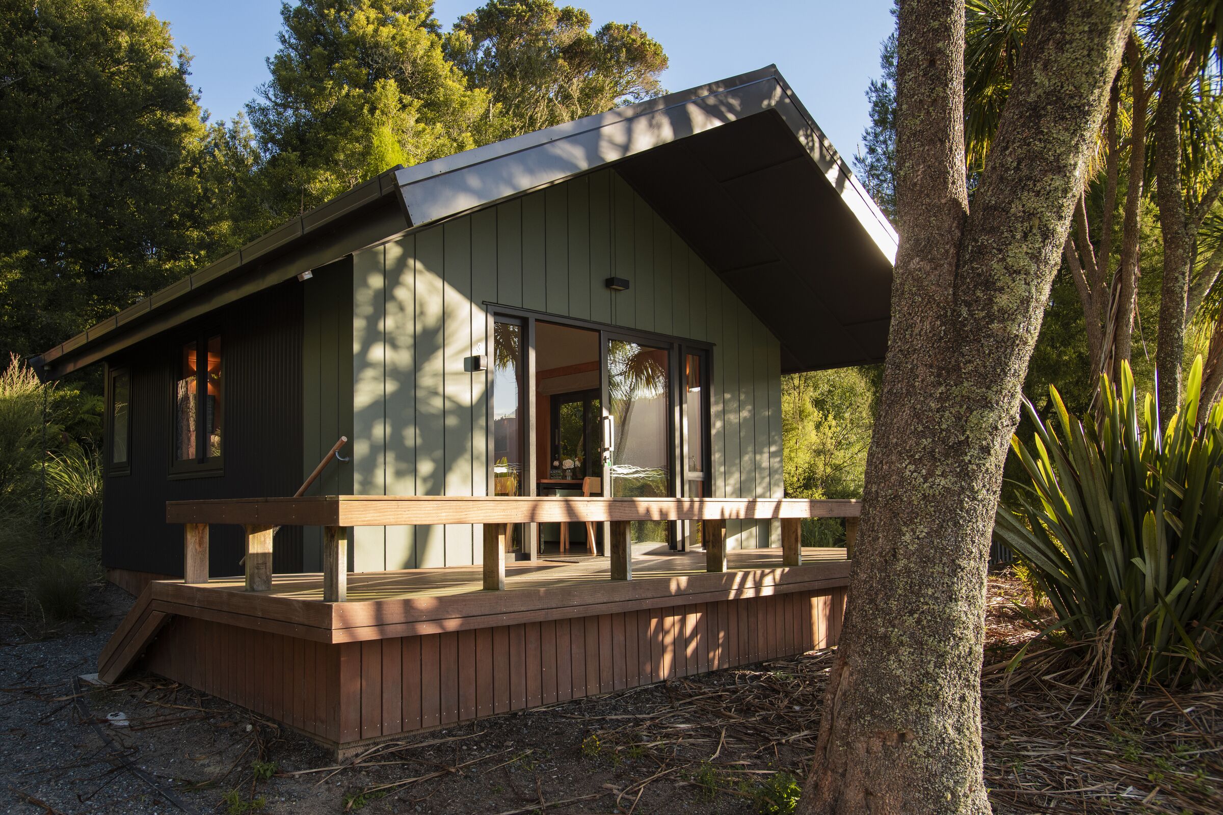 Te Tii chalet among the trees at Ruatāhuna